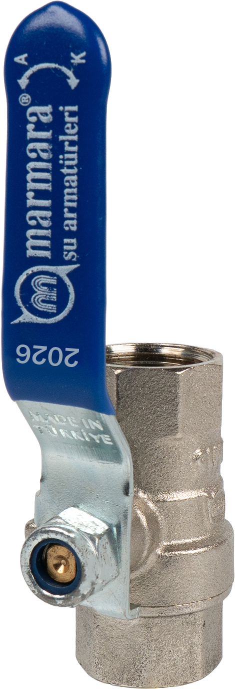 Küresel Vana Model 2